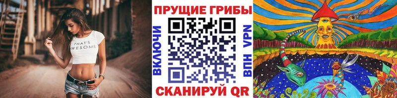 гидра ссылки  Байкальск  Галлюциногенные грибы мицелий  дарнет шоп 