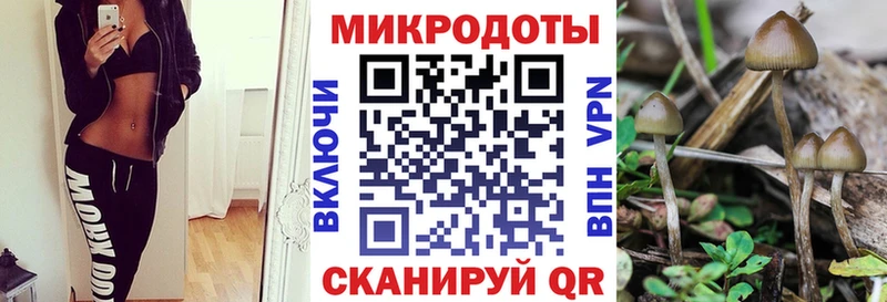 Псилоцибиновые грибы MAGIC MUSHROOMS Байкальск